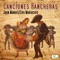 Camino de Toluca - Juan Manuel & Juan Manuel Mariachis lyrics
