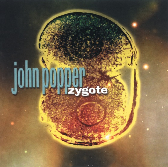 Cover artwork for Fledgling