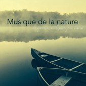 Musique de la nature – Musique zen et relaxante pour détente - Musique Relaxante Univers