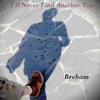 Breham - I'll Never Find Another You