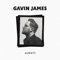 Always - Gavin James lyrics