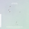 Flight (Remixed) - Single