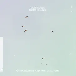Flight (Remixed) - Single by Lycoriscoris album reviews, ratings, credits
