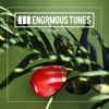 Enormous Tunes - Yearbook 2017, 2017