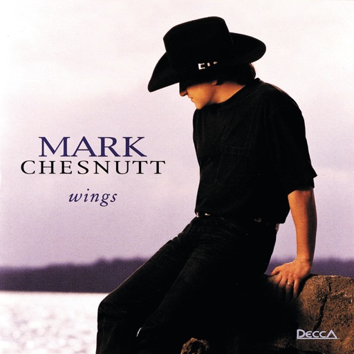 Art for It Wouldn't Hurt To Have Wings by Mark Chesnutt