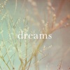Dreams V