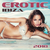 Erotic Ibiza 2018: Top 100, Hotel Chillout Ibiza, Sexy Easy Listening, Chillax Background Music for Intimacy, Best Sounds for Tantric Love, Healing Erotic Music - Sex Music Zone