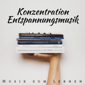 Konzentration Entspannungsmusik: Musik zum Lernen, Konzentrieren und Lesen artwork