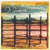 Gin Blossoms - Not Only Numb