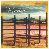 Outside Looking In: The Best of the Gin Blossoms artwork