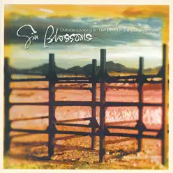Outside Looking In: The Best of the Gin Blossoms - Gin Blossoms