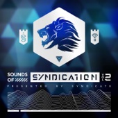 Sounds of Syndication, Vol. 2 (Presented by Syndicate) artwork