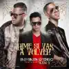 Dime Si Vas a Volver (Remix) - Single [feat. Ken-Y] - Single album lyrics, reviews, download
