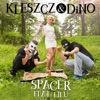 Spacer (feat. Lilu) - Single