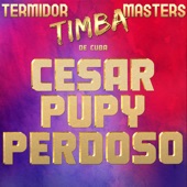 Termidor Timba Masters de Cuba artwork