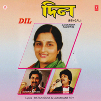 Anand-Milind & Bappi Lahiri - Dil (Original Motion Picture Soundtrack) artwork