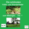 Top 30: Die schönsten Volks- und Wanderlieder zum Mitsingen, Vol. 1