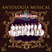 Antología Musical artwork