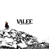Miami by Valee