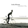 Luka Bloom - You Couldn't Have Come Come at a Better Time (Live, 2001 Bremen)