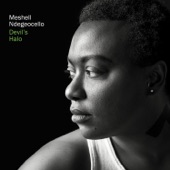 Meshell Ndegeocello - Die Young