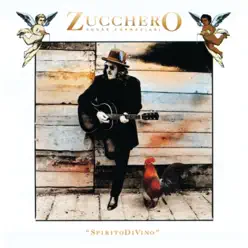 Spirito Di Vino - Zucchero