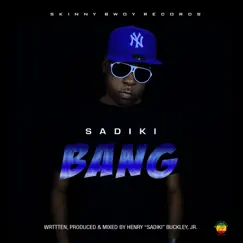 Bang - Single by Sadiki album reviews, ratings, credits