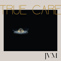 James Vincent McMorrow - True Care artwork