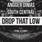 Drop That Low (feat. Feral Is Kinky) - Angger Dimas & South Central lyrics