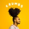 Crumbs (feat. Blasko) artwork