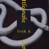 Rattlesnake - Single album lyrics, reviews, download