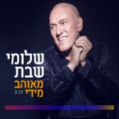 מאוהב מידי artwork