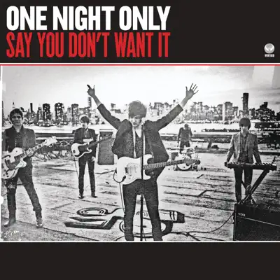 Say You Don't Want It - Single - One Night Only