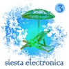 Siesta Electronica, Vol. 3