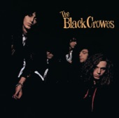 The Black Crowes - Thick N' Thin