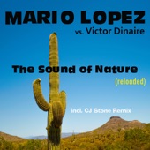 The Sound of Nature (Mario Lopez vs. Victor Dinaire) [Edit] artwork
