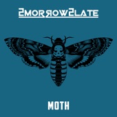 Moth artwork