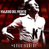 Viajero Del Viento (Remix) artwork