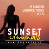 Sunset Criminals, Vol. 5 (25 Smooth Laidback Tunes)