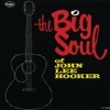 The Big Soul of John Lee Hooker