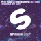 Like This! (Sharam Jey Edit) - Pete Sabo & Who Knows lyrics