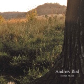 Andrew Bird - Effigy
