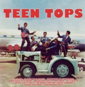 Teen Tops artwork