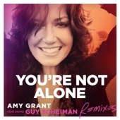 You’re Not Alone (feat. Guy Scheiman) [Remixes] - EP artwork