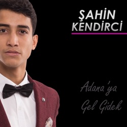 Şahin Kendirci - Sen Yanlış Yaptın