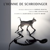 Le chat de Schrodinger artwork