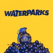 Waterparks - Stupid For You