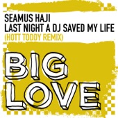 Last Night a DJ Saved My Life (Hot Toddy Remix) artwork