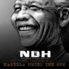 Mandela Under the Sun (feat. Soweto Gospel Choir) - Single album lyrics, reviews, download