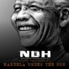 Mandela Under the Sun (feat. Soweto Gospel Choir) - Single